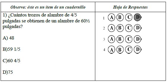 Formato pruebas nacionales