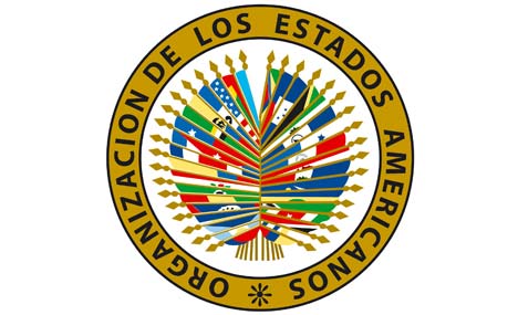 Becas Certificados OEA – Universidad de Cornell (eCornell)