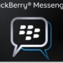 Un año con BBPin